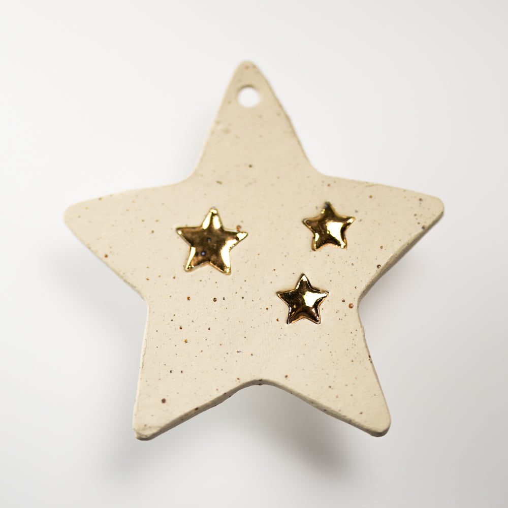 Kerstornament Ster Groot